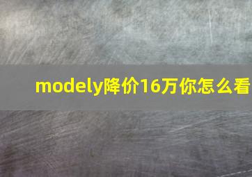 modely降价16万你怎么看