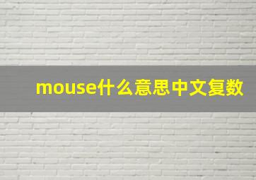 mouse什么意思中文复数