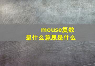 mouse复数是什么意思是什么