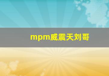 mpm威震天刘哥