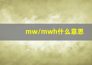 mw/mwh什么意思