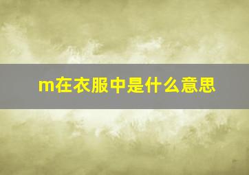 m在衣服中是什么意思