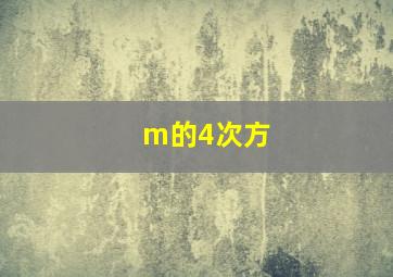 m的4次方