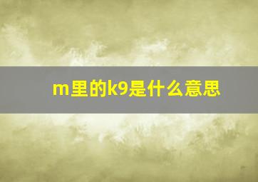 m里的k9是什么意思