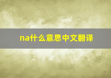 na什么意思中文翻译