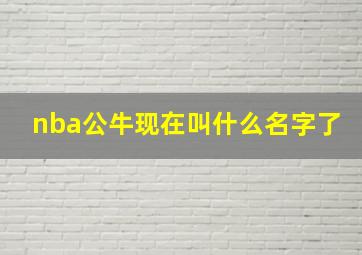 nba公牛现在叫什么名字了