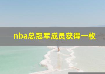 nba总冠军成员获得一枚