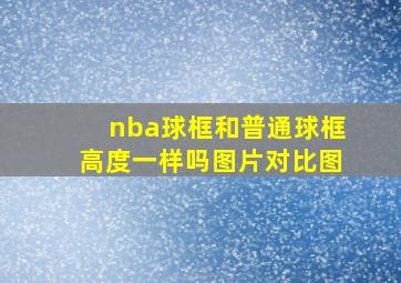 nba球框和普通球框高度一样吗图片对比图