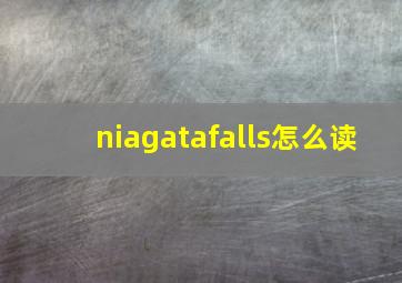 niagatafalls怎么读