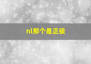 nl那个是正极