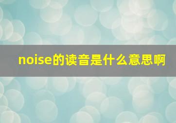 noise的读音是什么意思啊