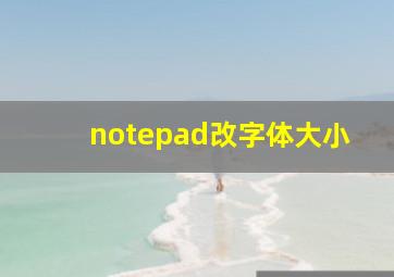 notepad改字体大小