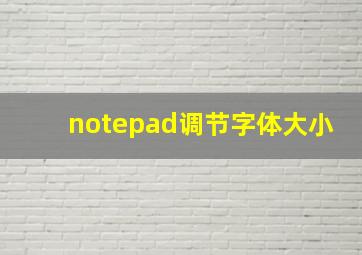 notepad调节字体大小