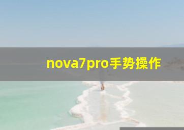 nova7pro手势操作