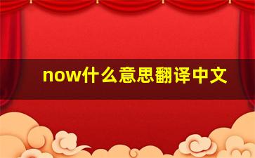 now什么意思翻译中文