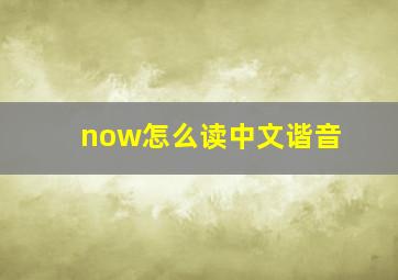 now怎么读中文谐音