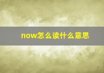 now怎么读什么意思