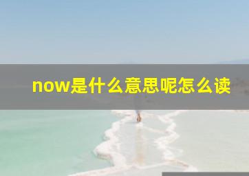 now是什么意思呢怎么读