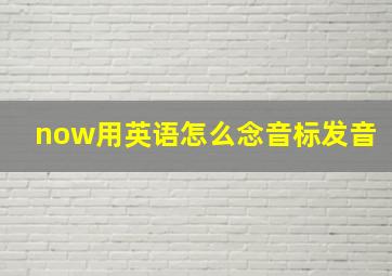 now用英语怎么念音标发音