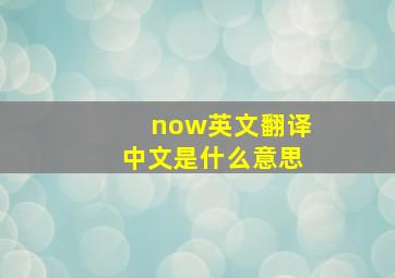 now英文翻译中文是什么意思