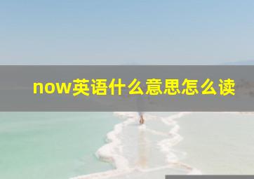 now英语什么意思怎么读