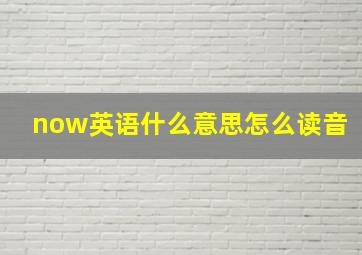 now英语什么意思怎么读音