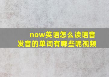 now英语怎么读语音发音的单词有哪些呢视频