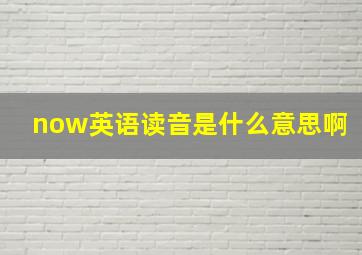 now英语读音是什么意思啊