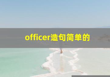 officer造句简单的