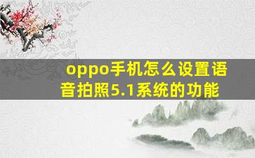 oppo手机怎么设置语音拍照5.1系统的功能