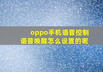 oppo手机语音控制语音唤醒怎么设置的呢