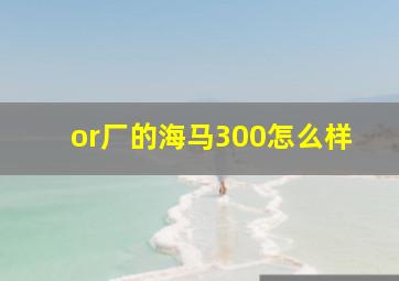 or厂的海马300怎么样