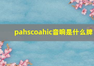 pahscoahic音响是什么牌