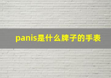 panis是什么牌子的手表