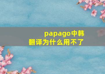 papago中韩翻译为什么用不了