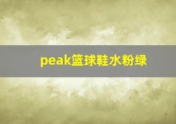 peak篮球鞋水粉绿