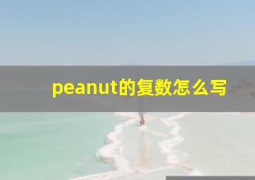 peanut的复数怎么写