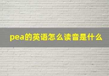 pea的英语怎么读音是什么