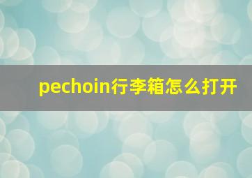 pechoin行李箱怎么打开