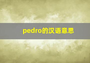 pedro的汉语意思