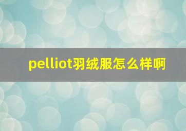 pelliot羽绒服怎么样啊