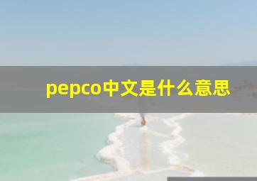 pepco中文是什么意思