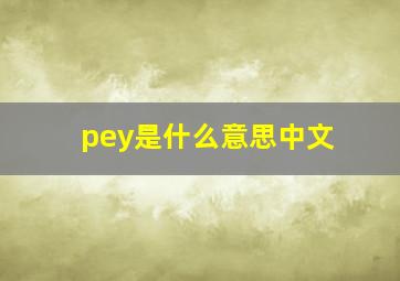 pey是什么意思中文