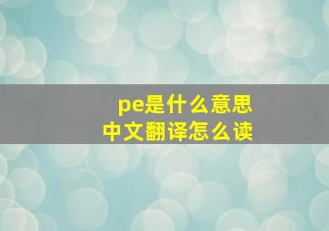 pe是什么意思中文翻译怎么读