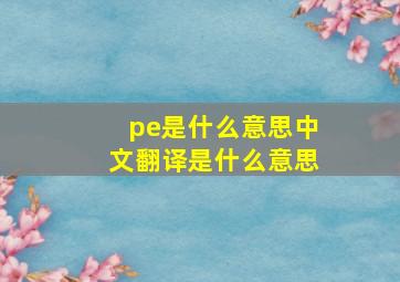 pe是什么意思中文翻译是什么意思