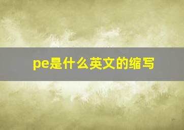 pe是什么英文的缩写