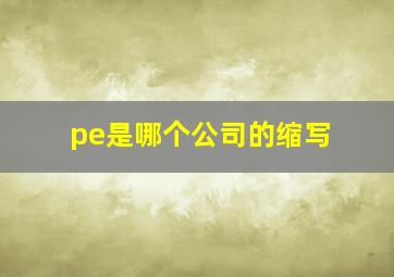 pe是哪个公司的缩写