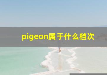 pigeon属于什么档次