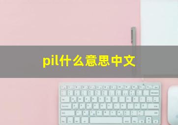 pil什么意思中文