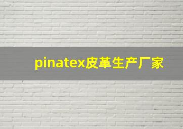 pinatex皮革生产厂家